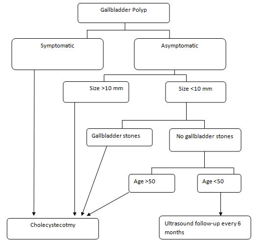 Gallbladder Polyp Management Plan Gallbladder Polyp Management Plan
